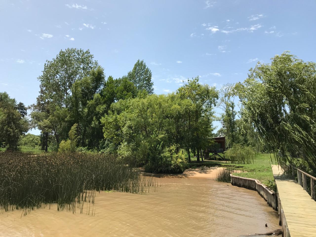 Vista del canal, muelle y vegetación
